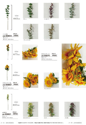 page:6