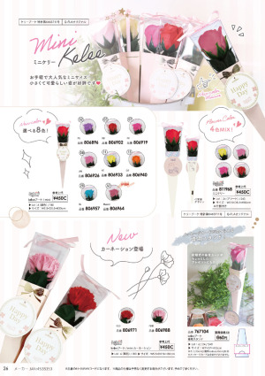 page:26